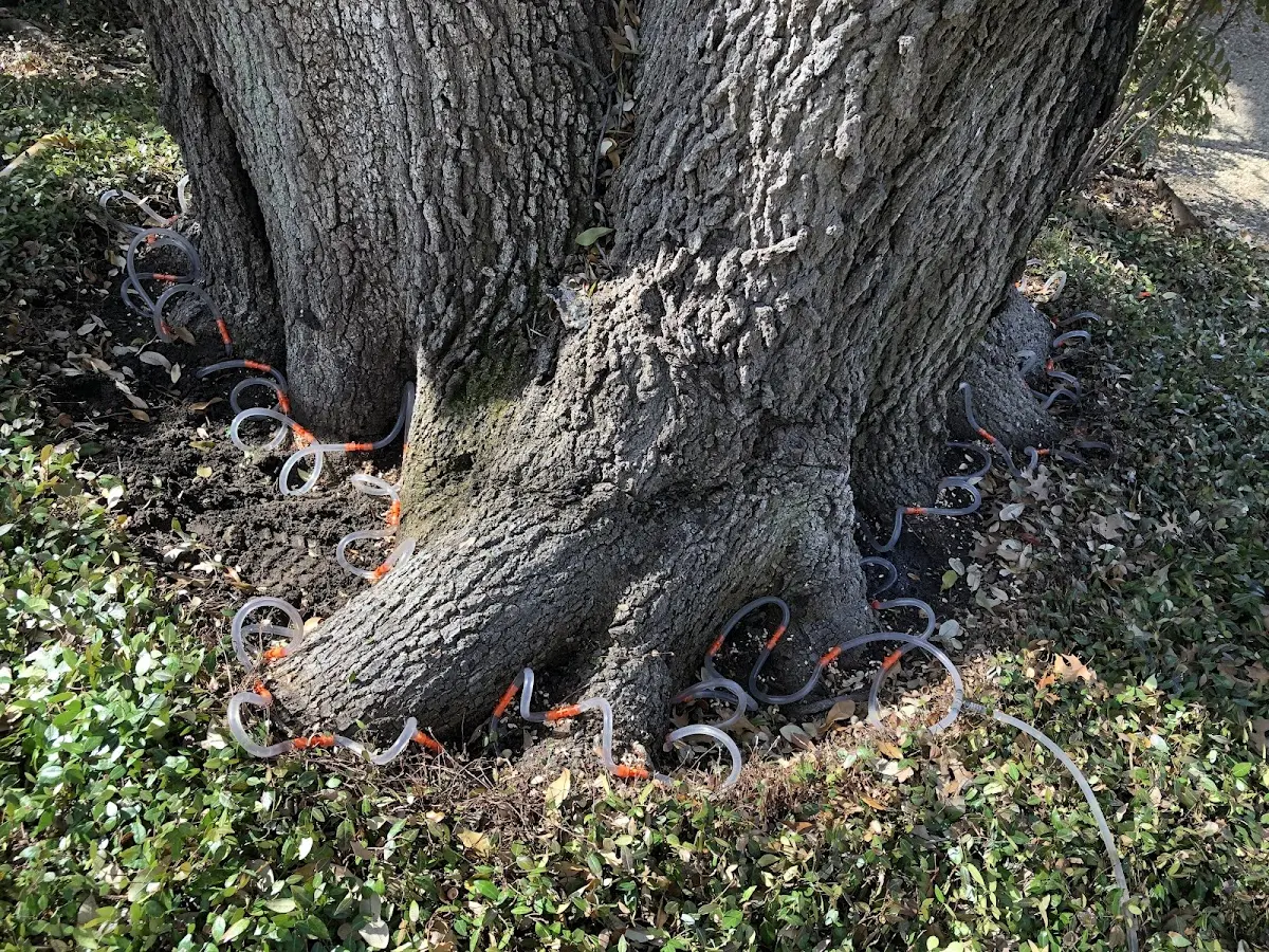 Detailed Shrub and Hedge Trimming job site in East Baldwin